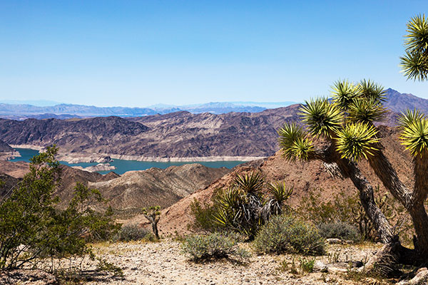 View of Lake Mead from County Road 25 near Meadview, Mohave County,  Arizona 