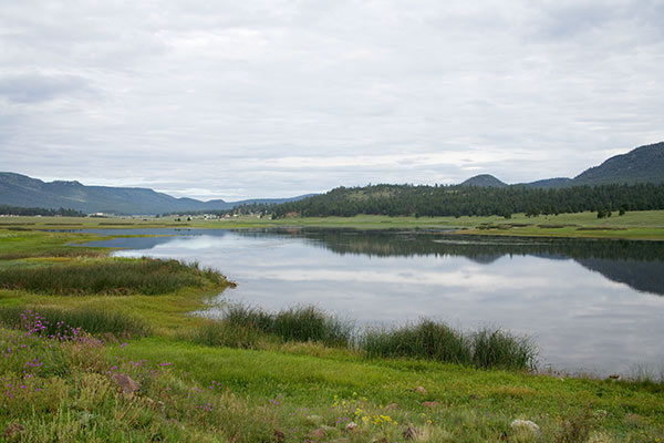 Luna Lake, Apache National Forest, Arizona