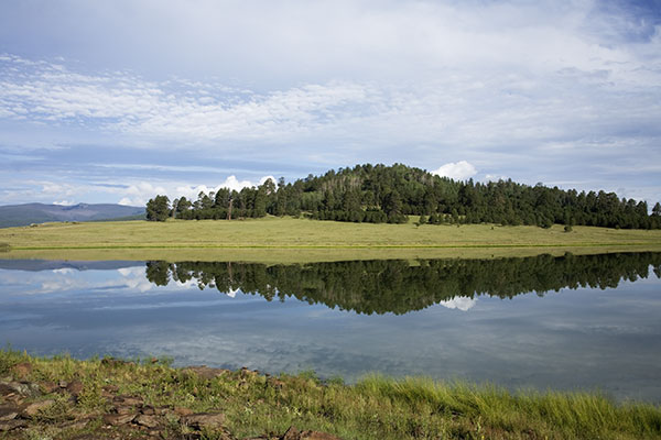 Crescent Lake, Reflections in Water; Apache National Forest, Arizona
