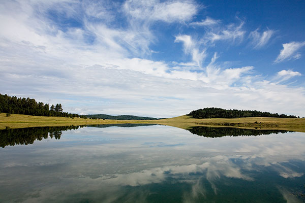 Crescent Lake, Reflections in Water; Apache National Forest, Arizona