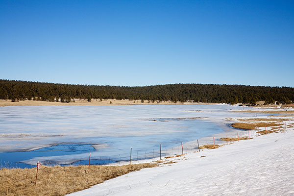 Luna Lake, Apache National Forest, Arizona