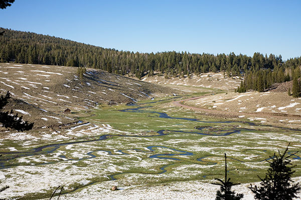 West Fork of Black River FR 116, Apache National Forest, Arizona