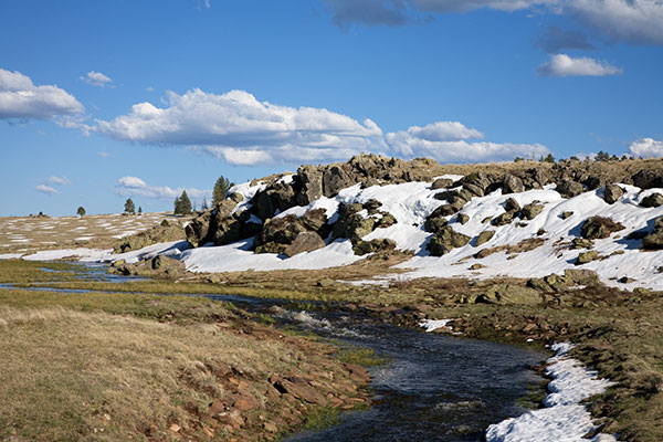 West Fork of Black River FR 116, Apache National Forest, Arizona