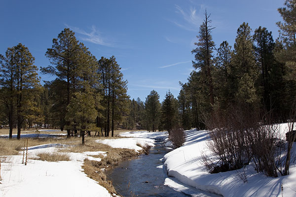 Beaver Creek, Apache National Forest, Arizona