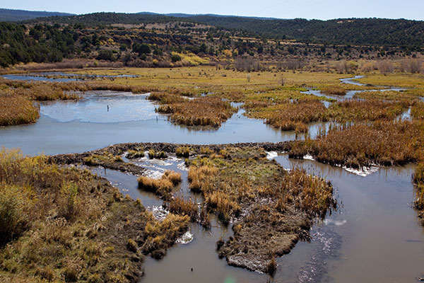 Fall Colors, Little Colorado River, Apache National Forest, Arizona