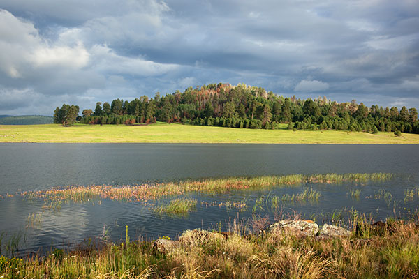 Crescent Lake, Apache National Forest, Arizona
