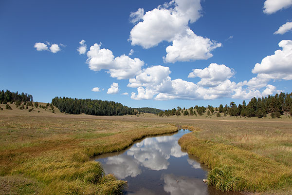 East Fork Black River at Crosby Crossing, Apache National Forest, Arizona