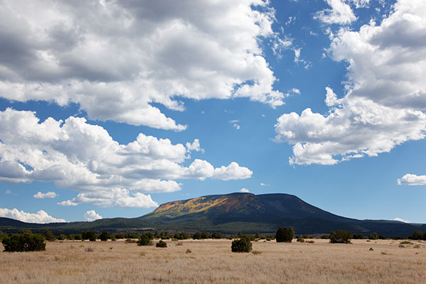 Aspen turning on Escudilla Mountain, Apache National Forest, Arizona