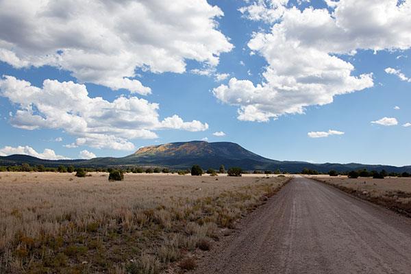 Aspen turning on Escudilla Mountain, Apache National Forest, Arizona