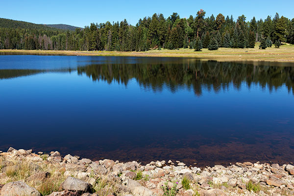 Lee Valley Reservoir, Apache National Forest, Arizona