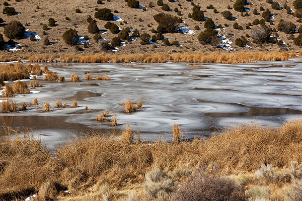Nelson Reservoir, Apache National Forest, Arizona