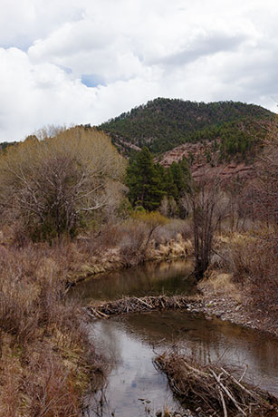 Beaver Dam on Blue River, Apache National Forest, Arizona