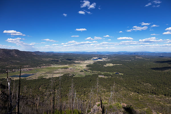 Alpine Valley and Luna Lake, Apache National Forest, Arizona