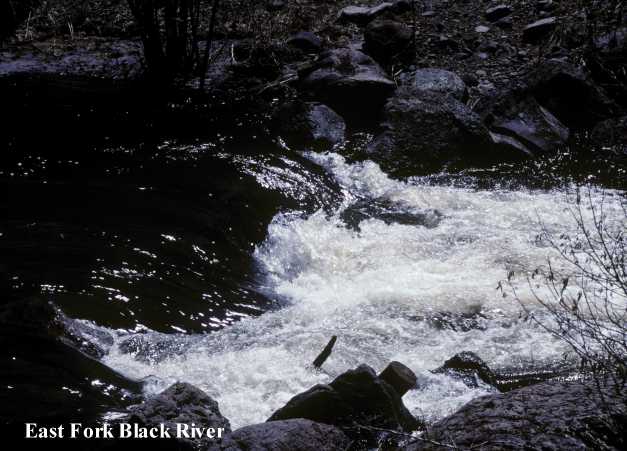 Photograph of East Fork of Black River, Arizona