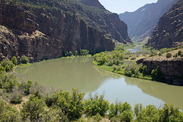 Green River in Gates of Lodore and Lodore Canyon, Dinosaur National Monument, Colorado