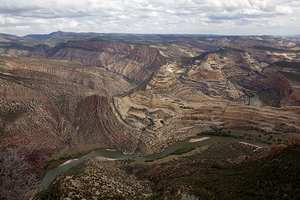 dinosaur green and yampa river