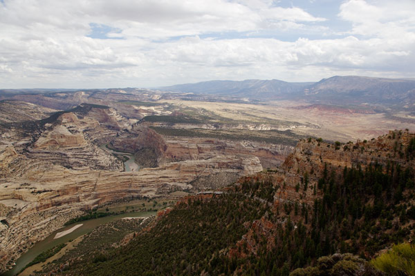 dinosaur green and yampa river