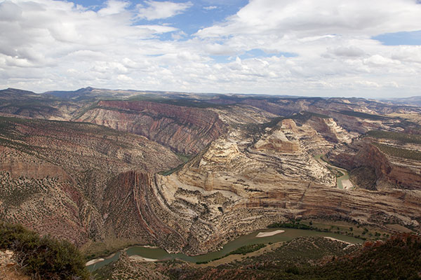dinosaur green and yampa river
