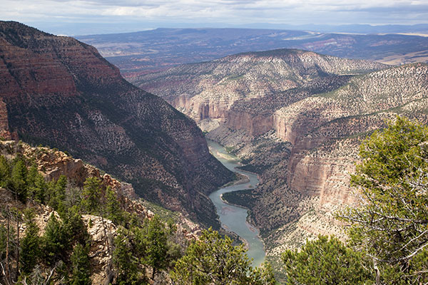 Whirlpool Canyon from Harpers Corner Trail, Dinosaur National Monument, Colorado