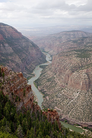 Whirlpool Canyon from Harpers Corner Trail, Dinosaur National Monument, Colorado