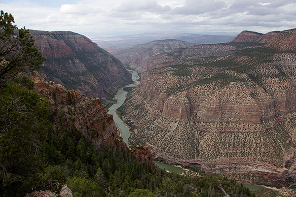 Whirlpool Canyon from Harpers Corner Trail, Dinosaur National Monument, Colorado