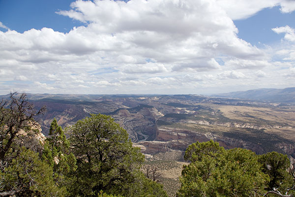 Yampa River from Harpers Corner Trail, Dinosaur National Monument, Colorado