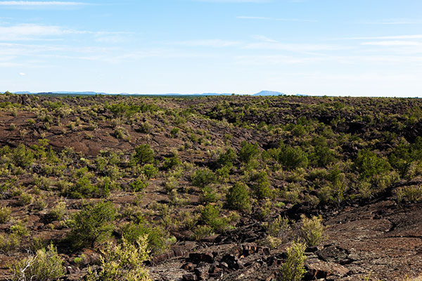 Scenes along Lava Falls Trail, El Malpais National Monument