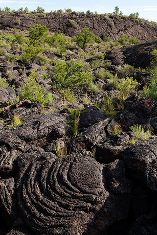 Scenes along Lava Falls Trail, El Malpais National Monument