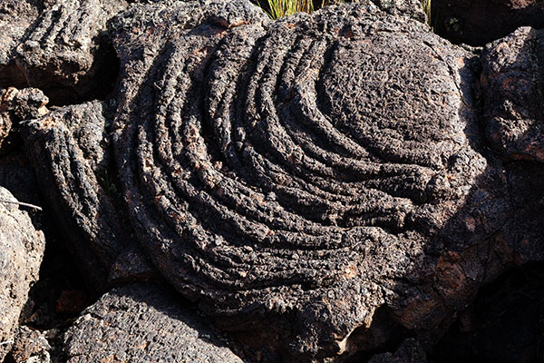 Detail of Rope Pahoehoe Lava, El Malpais National Monument