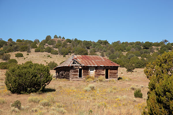 Old Log Building, Catron County, New Mexico