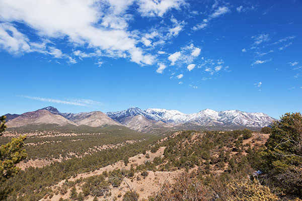 Looking up Little Dry Creek toward West Baldy and Sacaton Mountain, Gila National Forest, New Mexico