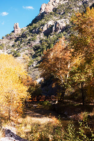 Fall Colors Whitewater Creek near Catwalk, near Glenwood, New Mexico