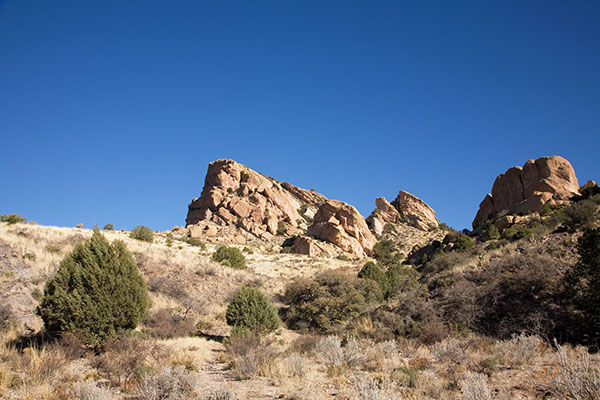 Scene in Knight Canyon, Burro Mountains, New Mexico