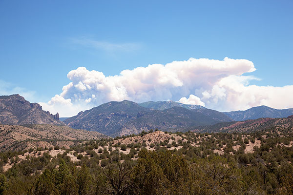 Whitewater Baldy Complex Fire Gila National Forest