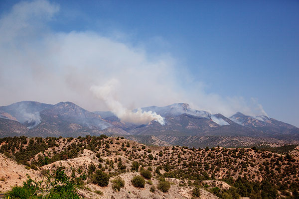 Whitewater Baldy Complex Fire Gila National Forest