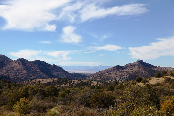 Thompson Canyon in Burro Mountains, Grant County, New Mexico