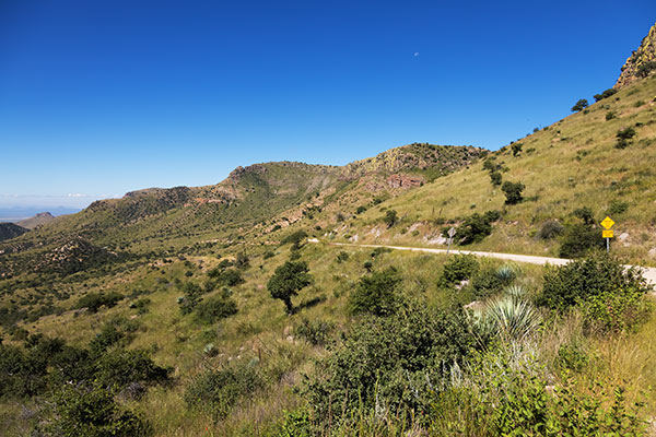 Upper Cottonwood Canyon, Geronimo Trail, Hidalgo County, New Mexico