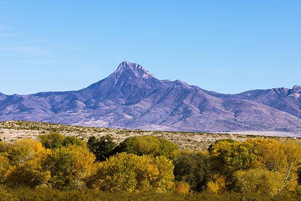 West Face Cooke Peak Luna County, New Mexico