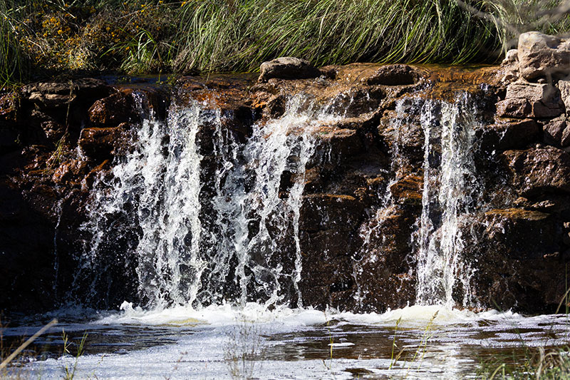 Water flowing over Dam in Clanton Canyon, Hidalgo County, New Mexico