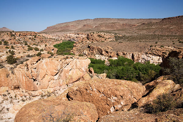 Gila Lower Box, New Mexico Gila River