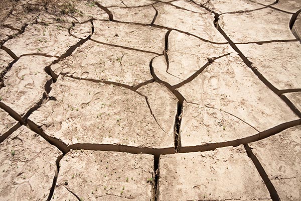 Desiccation Cracking in Mud, New Mexico