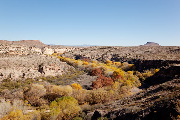 Fall Colors Gila Lower Box Hidalgo County New Mexico 