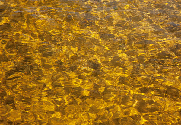 Natural Textures Waves on Pond