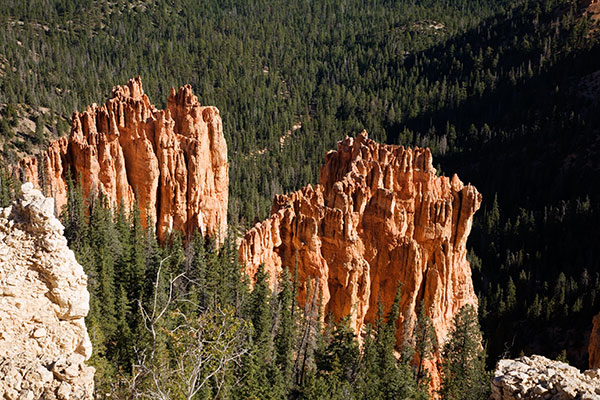 General Scenes, Bryce Canyon National Park, Utah