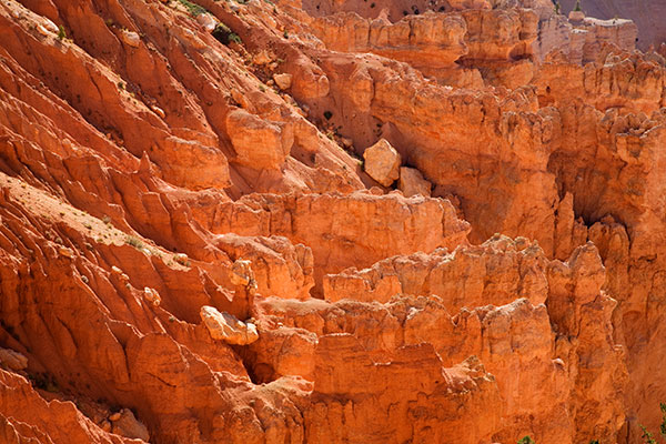 General Scenes, Bryce Canyon National Park, Utah