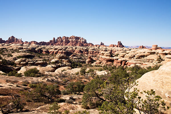 View from Chesler Park Trail, Needles District, Canyonlands National Park