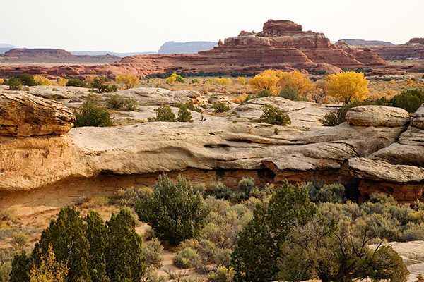View from Cave Spring, Needles District, Canyonlands National Park