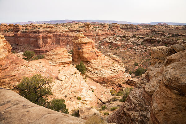 View from Slickrock Trail, Needles District, Canyonlands National Park