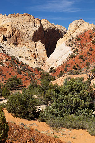 Surprise Canyon, Waterpocket Fold, Capitol Reef National Park, Utah