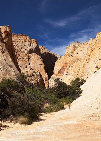 Surprise Canyon, Waterpocket Fold, Capitol Reef National Park, Utah